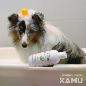 Kamu-shampoo koirille